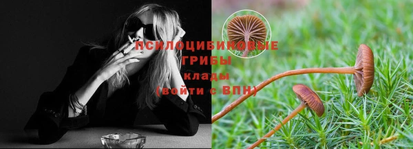 альфа пвп Бородино