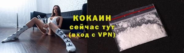 соль ск Бронницы