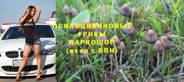 соль ск Бронницы