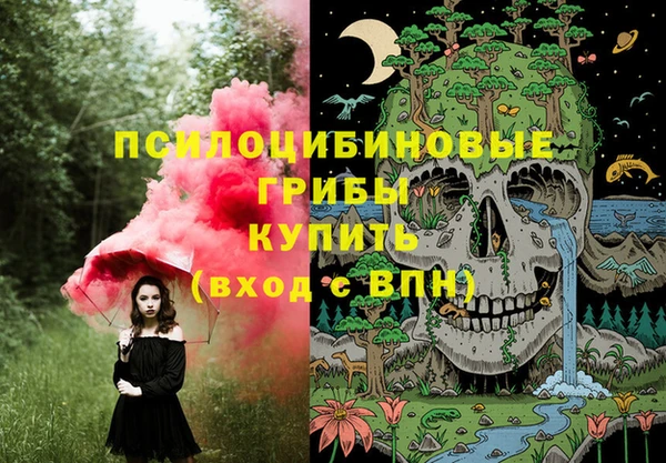 PSILOCYBIN Пролетарск