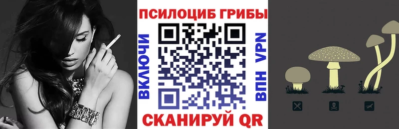 Псилоцибиновые грибы Psilocybine cubensis  Котельнич 